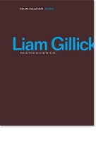 Book Cover for Liam Gillick by Luca Cerizza