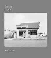 Book Cover for David Goldblatt: Fietas Fractured by David Goldblatt