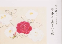 Book Cover for 100 Papers with Japanese Seasonal Flowers by PIE International