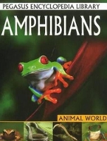 Book Cover for Amphibians by Pallabi B. Tomar, Hitesh Iplani, Tapasi De, Suman S. Roy, Tanoy Choudhury