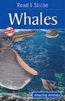 Book Cover for Whales by Tapasi De