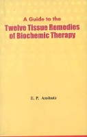 Book Cover for Guide to the Twelve Tissue Remedies of Biochemic Therapy by Edward Pollock Anshutz