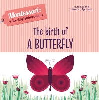 Book Cover for The Birth of a Butterfly by Chiara Piroddi