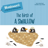 Book Cover for The Birth of a Swallow by Chiara Piroddi