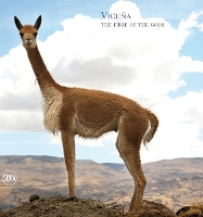 Book Cover for Vicuña by Loro Piana