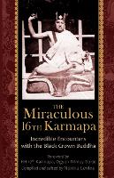 Book Cover for The Miraculous 16th Karmapa by Naomi Levine