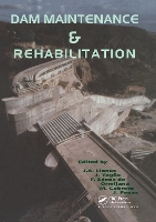 Book Cover for Dam Maintenance and Rehabilitation by J.A. Llanos