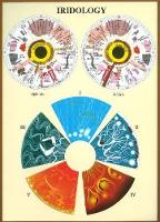 Book Cover for Iridology -- A4 by Jan van Baarle