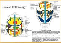 Book Cover for Cranial Reflexology -- A4 by Jan van Baarle