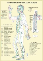 Book Cover for Special Points in Acupunture -- A4 by Jan van Baarle