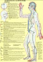 Book Cover for Symptomatic Acupuncture Points -- A4 by Jan van Baarle