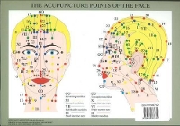 Book Cover for Acupuncture Points of the Face -- A4 by Jan van Baarle