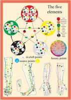 Book Cover for Five Elements in Acupuncture -- A4 by Jan van Baarle