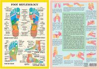 Book Cover for Foot Reflexology -- A4 by Jan van Baarle