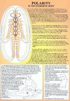 Book Cover for Polarity in the Energetic Body -- A4 by Jan van Baarle
