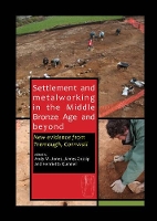 Book Cover for Settlement and Metalworking in the Middle Bronze Age and Beyond by Andy Jones