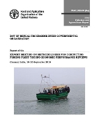 Book Cover for Report of the Expert Meeting on Methodologies for Conducting Fishing Fleet Techno-Economic Performance Reviews by Food and Agriculture Organization