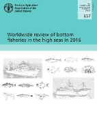 Book Cover for Worldwide review of bottom fisheries in the high seas in 2016 by Food and Agriculture Organization