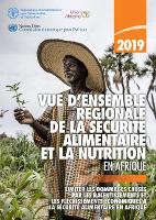 Book Cover for Vue d’ensemble régionale de la sécurité alimentaire et la nutrition en Afrique 2019 Limiter les dommages causés par les ralentissements et les fléchissements économiques à la sécurité alimentaire en A by Food and Agriculture Organization of the United Nations