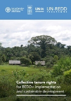 Book Cover for Collective tenure rights for REDD+ implementation and sustainable development by Amanda Bradley, Food and Agriculture Organization, Serena Fortuna