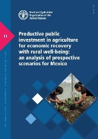 Book Cover for Productive public investment in agriculture for economic recovery with rural well-being by Marco V Sânchez, Food and Agriculture Organization, Martân Cicowiez