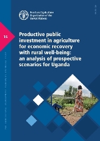 Book Cover for Productive public investment in agriculture for economic recovery with rural well-being by Marco V Sânchez, Food and Agriculture Organization, Martân Cicowiez