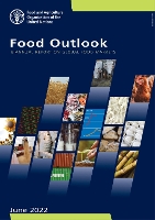 Book Cover for Food outlook by Food and Agriculture Organization
