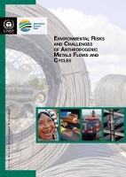 Book Cover for Environmental risks and challenges of anthropogenic metals flows and cycles by United Nations Environment Programme