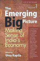 Book Cover for The Emerging Big Picture by Uma Kapila