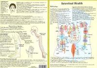 Book Cover for Intestinal Health -- Double Sided A4 by Jan van Baarle