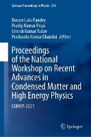 Book Cover for Proceedings of the National Workshop on Recent Advances in Condensed Matter and High Energy Physics by Kusum Lata Pandey