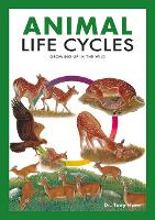 Book Cover for Animal Life Cycles by Tony Hare