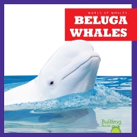 Book Cover for Beluga Whales by Katie Chanez