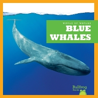 Book Cover for Blue Whales by Eliza Leahy