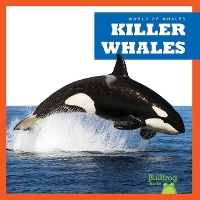 Book Cover for Killer Whales by Katie Chanez