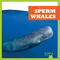 Book Cover for Sperm Whales by Katie Chanez