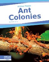 Book Cover for Ant Colonies. Paperback by Matt Lilley