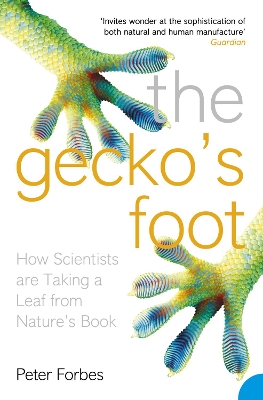 The Gecko’s Foot