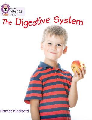 The Digestive System