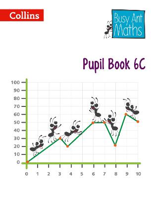 Pupil Book 6C