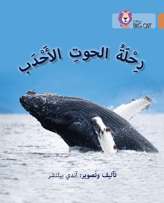 Journey of Humpback Whales