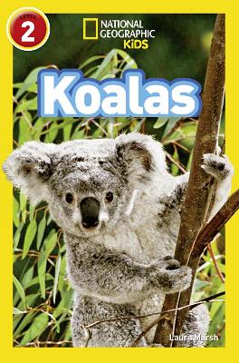 Koalas