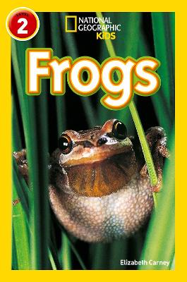 Frogs