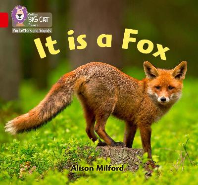 It is a Fox