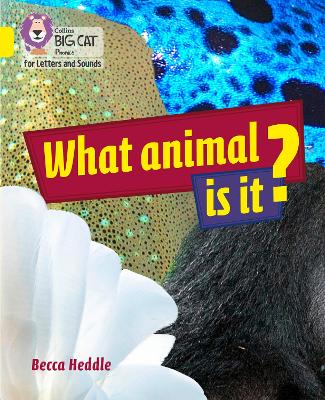 What Animal Is It?