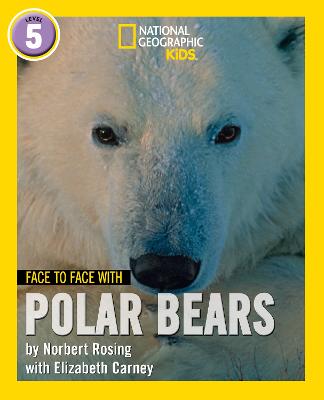 Face to Face with Polar Bears