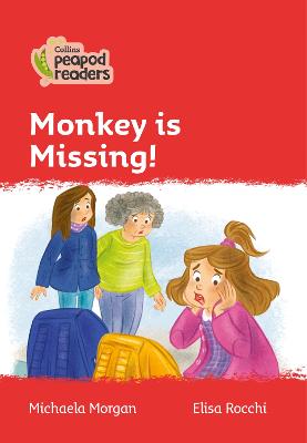 Monkey Is Missing