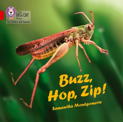 Buzz, Hop, Zip!