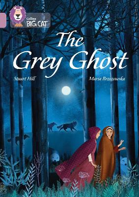 The Grey Ghost