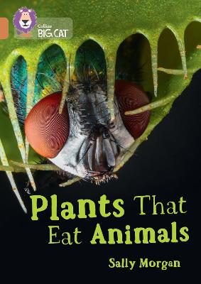 Plants That Eat Animals